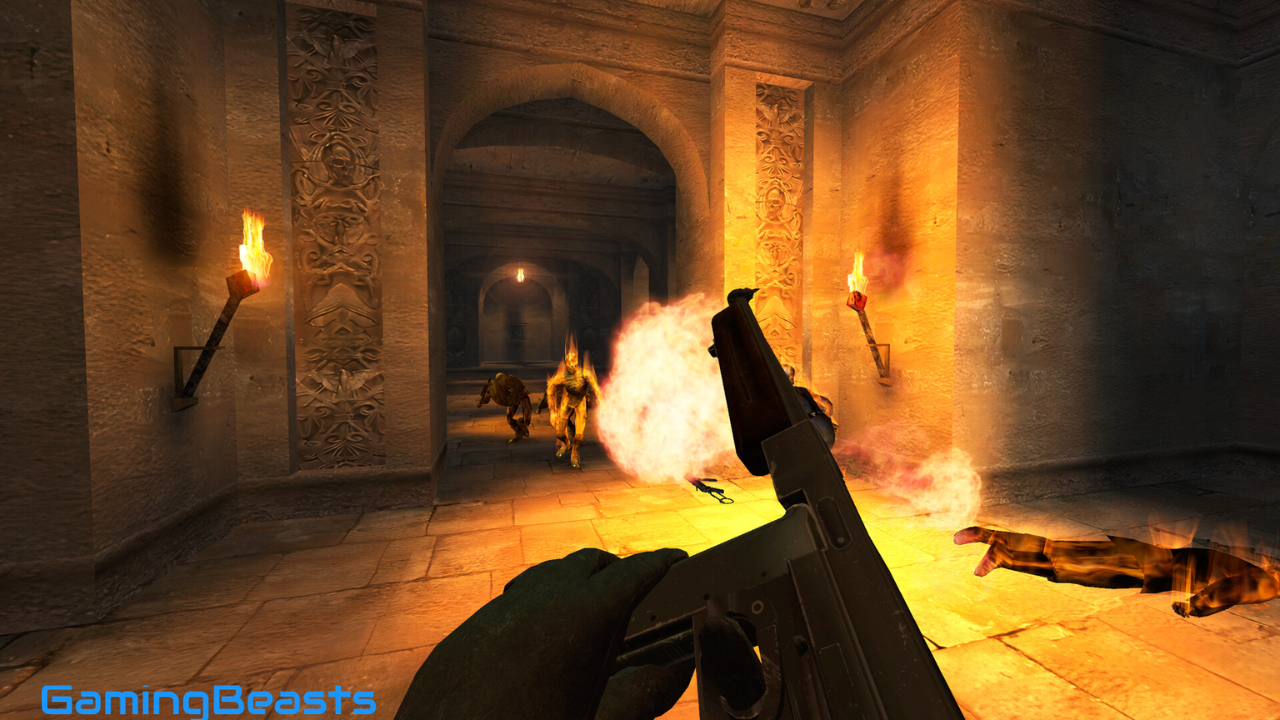 RealRTCW Free Download