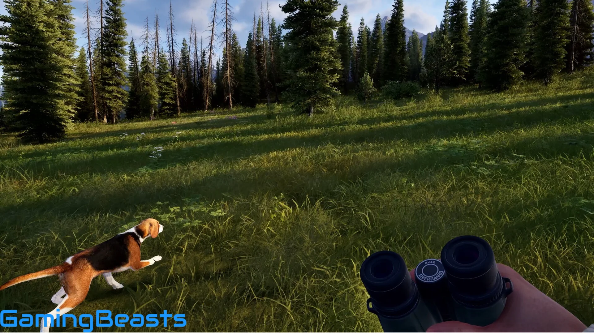 Way of the Hunter 2 Free Download