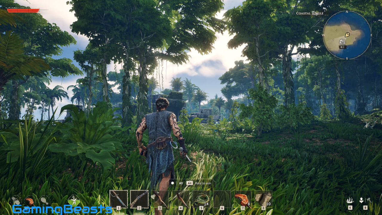 Windrose Free Download
