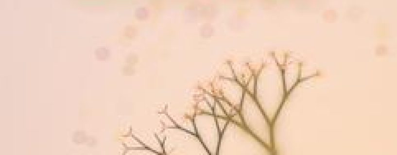 Eufloria Classic Free Download Build 22426617