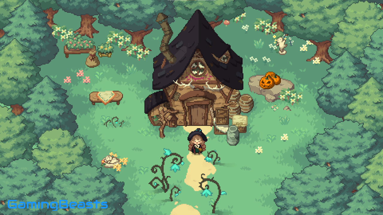 Little Witch in the Woods PC Full
