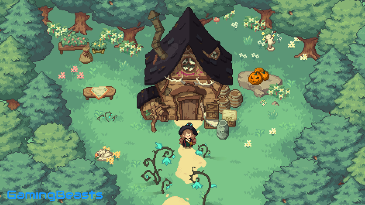Little Witch in the Woods PC Full