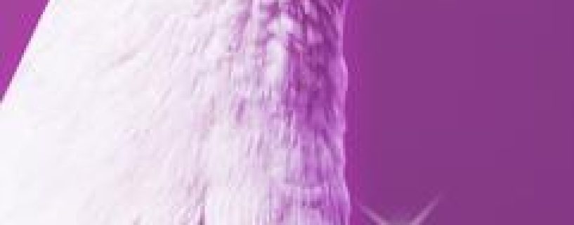 Hatoful Boyfriend Free Download Build 10095810