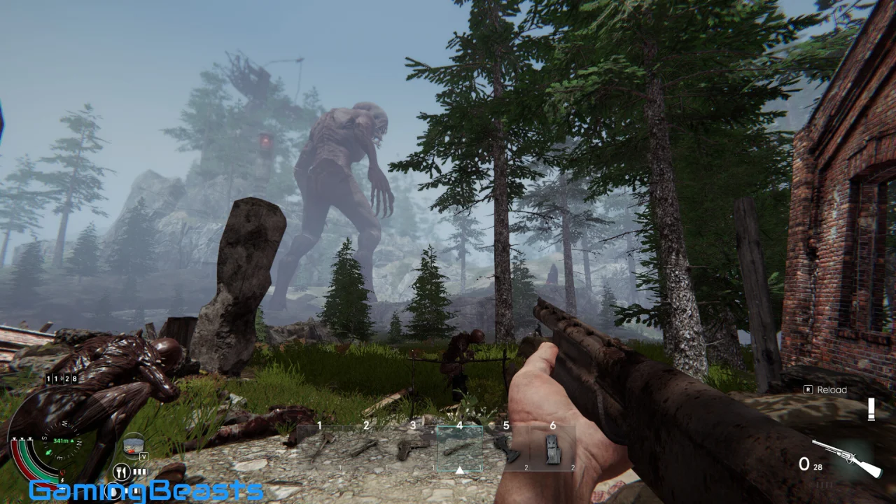 Project Mist Free Download