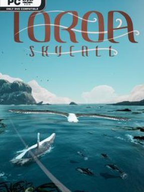 Toroa Skycall Free Download Build 23191605