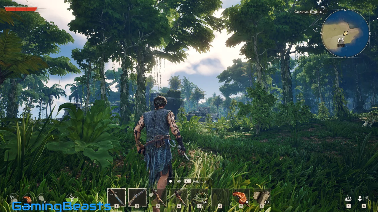 Windrose Free Download
