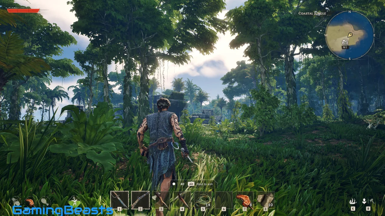 Windrose Free Download
