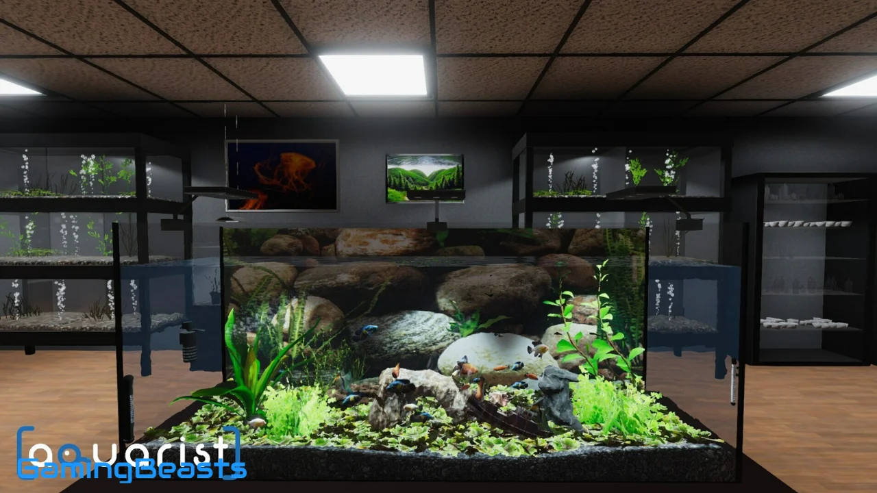 Aquarist Pc Full