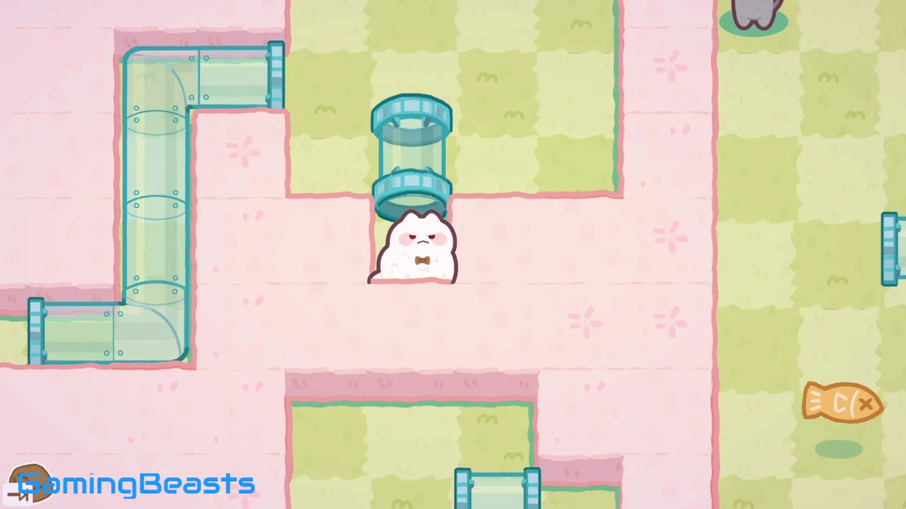 Cat Squeeze Pc Full